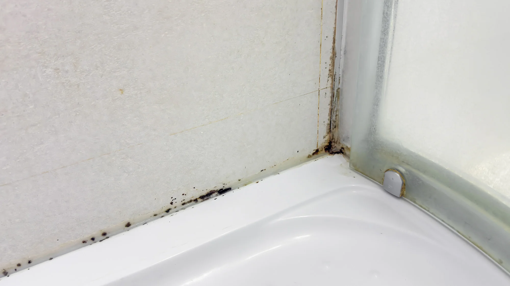 Mold in shower